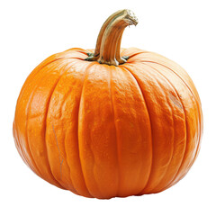 Pumpkin on White Background Isolated on Transparent or White Background, PNG