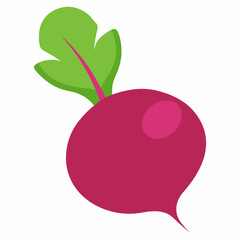 Beet icon vector art illustration