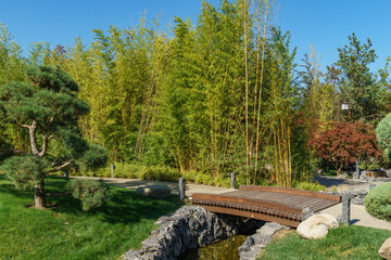 Beautiful view of Japanese garden in public landscape park of Krasnodar or Galitsky  park, Russia