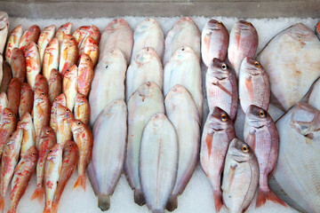Fresh Sea Fish on Ice for Sale