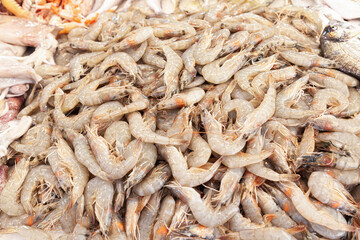 Fresh Shrimp Pile on Store Counter