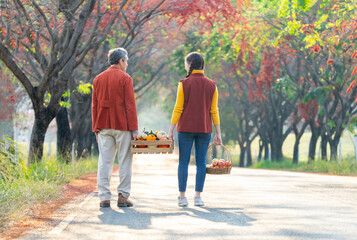 Obraz premium back view,father and daughter carrying harvested fruits in wooden storage crate together walking along the street,happy family working in nature,concept of seasonal fruit picking,harvesting in autumn