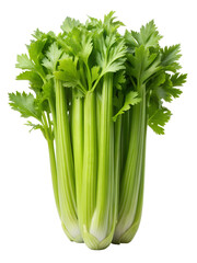 Celery isolated on transparent background png
