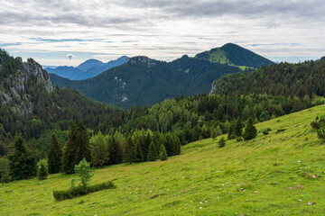 A view to the green Chiemgau nature while hiking 