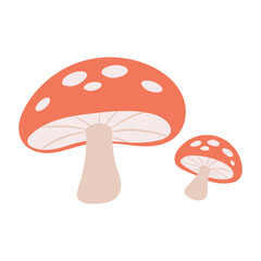 Mushrooms vector illustration