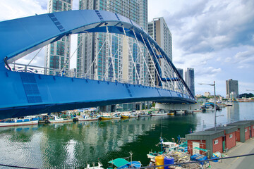 Obraz premium Geumgang Grand Bridge Spanning Over Sokcho Harbor with High-Rise Buildings in the Background