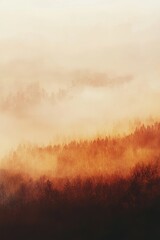 Fototapeta premium misty morning in the forest