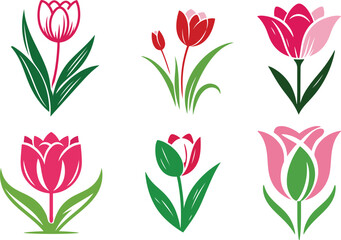 Obraz premium Tulip flowers vector set.