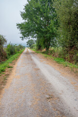 Fototapeta premium rural dirt road in an agricultural area, cloudy day in summer in Spain