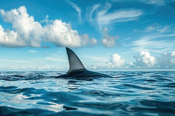 Naklejka premium Fin: Majestic Shark Emerges from Depths of Blue Ocean, Symbolizing Animal Wildlife and Danger of Sea Life