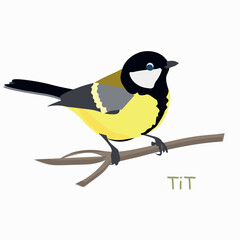 Great tit on branch object isolated stock vector illustration for web, for print, for fabric print, for wallpaper.