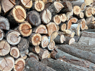 Bird cherry wood cut and arranged, dried, prepared as firewood for the fireplace. Background