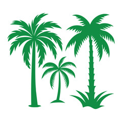 Obraz premium palm trees on white background