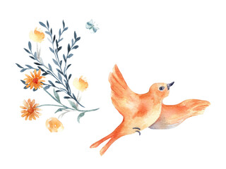 Bird orange plumage flying and flowers bunch hand drawn watercolor isolated. Bird in flight floral illustration in botanical sketch. Avian illustration for greeting card. Colorful bird oriole painted.