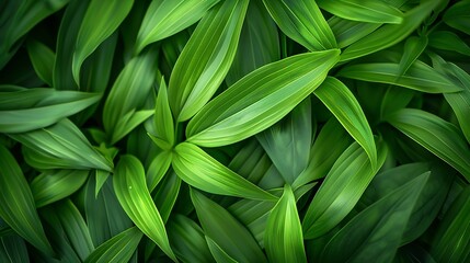 Obraz premium Leaf pattern leaves bamboo or abstract background Green Energy and world for water day or National Forest Conservation Day : Generative AI