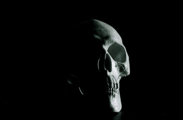 scary human skull horror Halloween