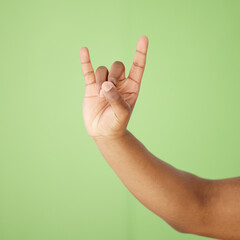 Hands, person and rock and roll with hand gesture in studio for festival communication, punk sign and metal music. Devil horns, emoji and show power for culture opinion, funky and green background