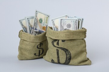 Dollar banknotes in bags on grey background