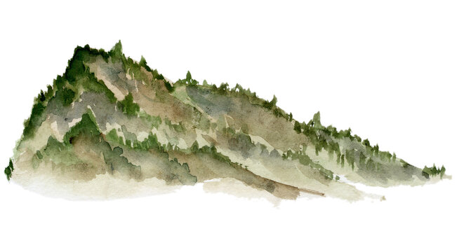 Scenery landscape grassy land alpine vista, hill mountain with dense forest fir spruce trees, hand drawn in watercolor. Single isolated element for tourism, resort ads, hiking camping sites vacation.