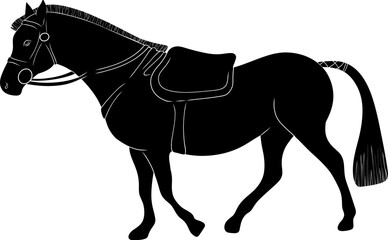 silhouette of a horse