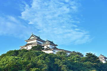 Naklejka premium 青空の下 和歌山城天守の風景 和歌山県和歌山市