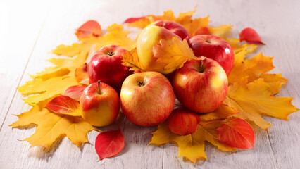 still life with leaves and apples