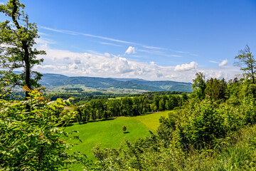 Dorf Blauen, Blauen, Wanderweg, Landwirtschaft, Wiesen, Felder, Obstbäume, Blauenpass, Hügel, Wald, Waldweg, Laufental, Birstal, Baselland, Sommer, Schweiz