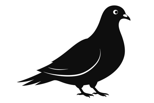 recommend clip art: Beautiful bird pigeon silhouette black icon vector art illustration