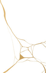 Golden Kintsugi Crack Pattern