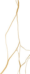 Golden Kintsugi Crack Pattern
