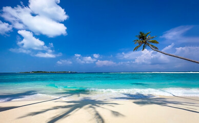 Abstract of the tropical beach with  Aqua waves and coconut palm shadow on blue background.