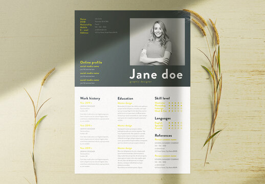 Professional Curriculum Vitae Layout