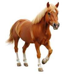 Naklejka premium Energetic Chestnut Horse Jumping, Isolated on Transparent Background, Ideal for Equine and Sports Themes