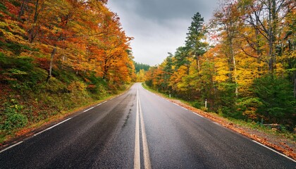 Fototapeta premium COUNTRY ROAD IN FALL AUTUMN - Dramatic, moody scene of rural highway running through beautiful forest landscape. Orange and green foliage colors. 