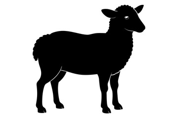  Beautiful sheep silhouette black icon vector art illustration 