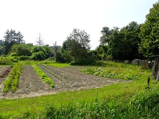 Hiking in the Argonne forest in France - View of the gardens of La Neuville Au Pont