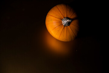 Fototapeta premium beautiful Halloween pumpkin with a golden shadow