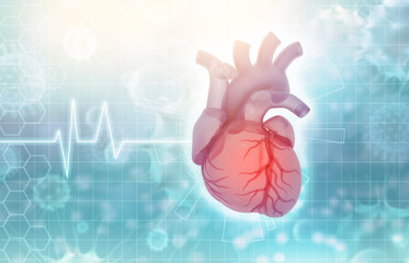 Human heart anatomy with ecg graph on scientific background. 3d illustration.