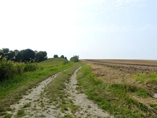 Hiking in the Argonne forest in France