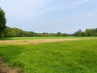 Hiking in the Argonne forest in France