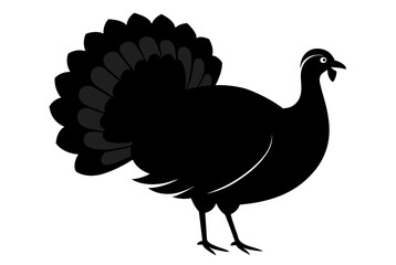  Beautiful turkey silhouette black icon vector art illustration