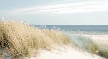 Minimalist coastal design with serene beach grass and natural aesthetics