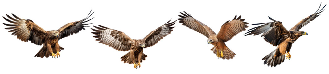 Flying bird png cut out element set