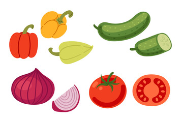 Collection of a variety of vegetables tomatoes, peppers, cucumber, and onion. Vector illustration isolated on white background