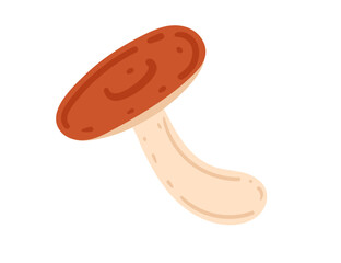 Russula red-capped mushroom. Ideal for mushroom foraging, culinary designs, and nature-themed content. Vector illustration isolated on white background