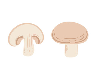 Fototapeta premium Champignon mushrooms. Perfect for recipes, vegetarian food content, and culinary designs. Vector illustration isolated on white background