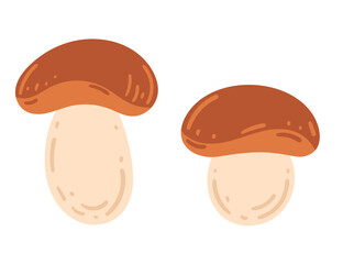 Fototapeta premium Porcini mushroom. Organic vegetarian object for menu, label, recipe, product packaging. Vector illustration isolated on white background