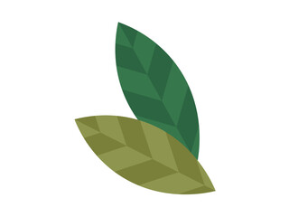 Leaves vector illustration. The leaves concept illuminates rich diversity and beauty foliate arrangements Natural botanical wonders come to life as leaves sprout and plants bloom In realm botany