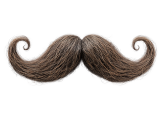 A detailed view of a curly, bushy moustache against a transparent background