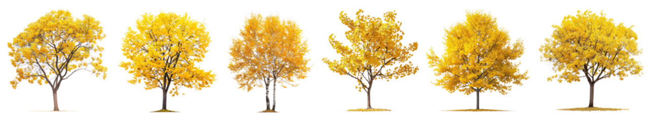 Yellow autumn tree png cut out element set